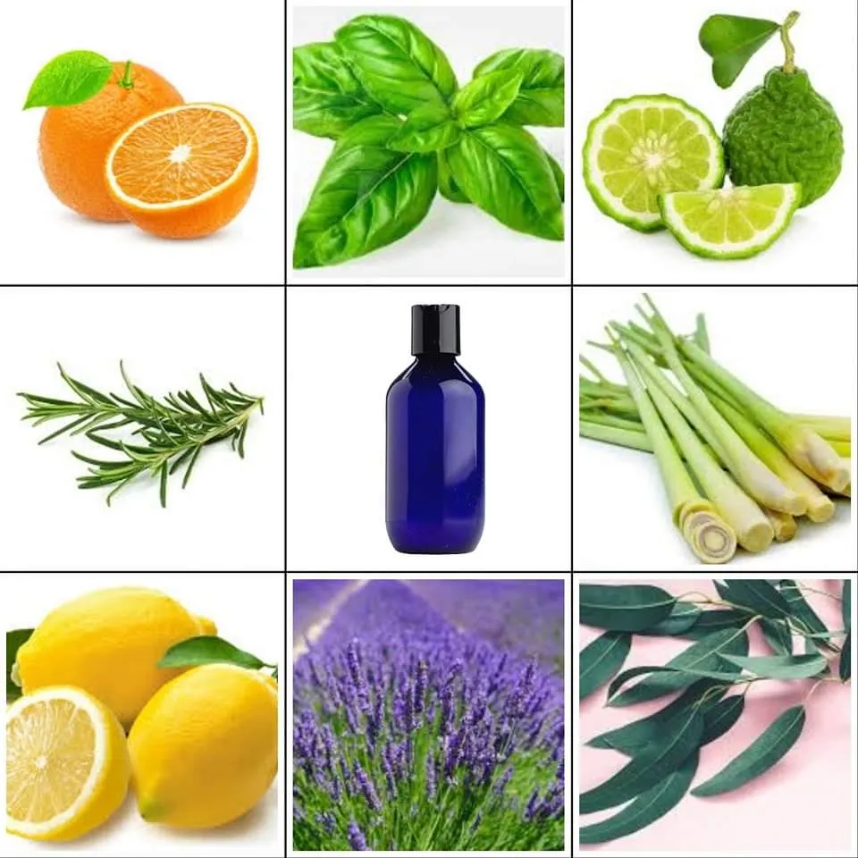 DEVINE MASSAGE OIL essential oil or fragrance oil new 200ml