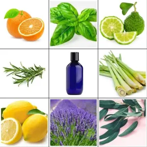 DEVINE MASSAGE OIL essential oil or fragrance oil new 200ml