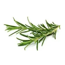 DEVINE MASSAGE OIL essential oil or fragrance oil new 200ml