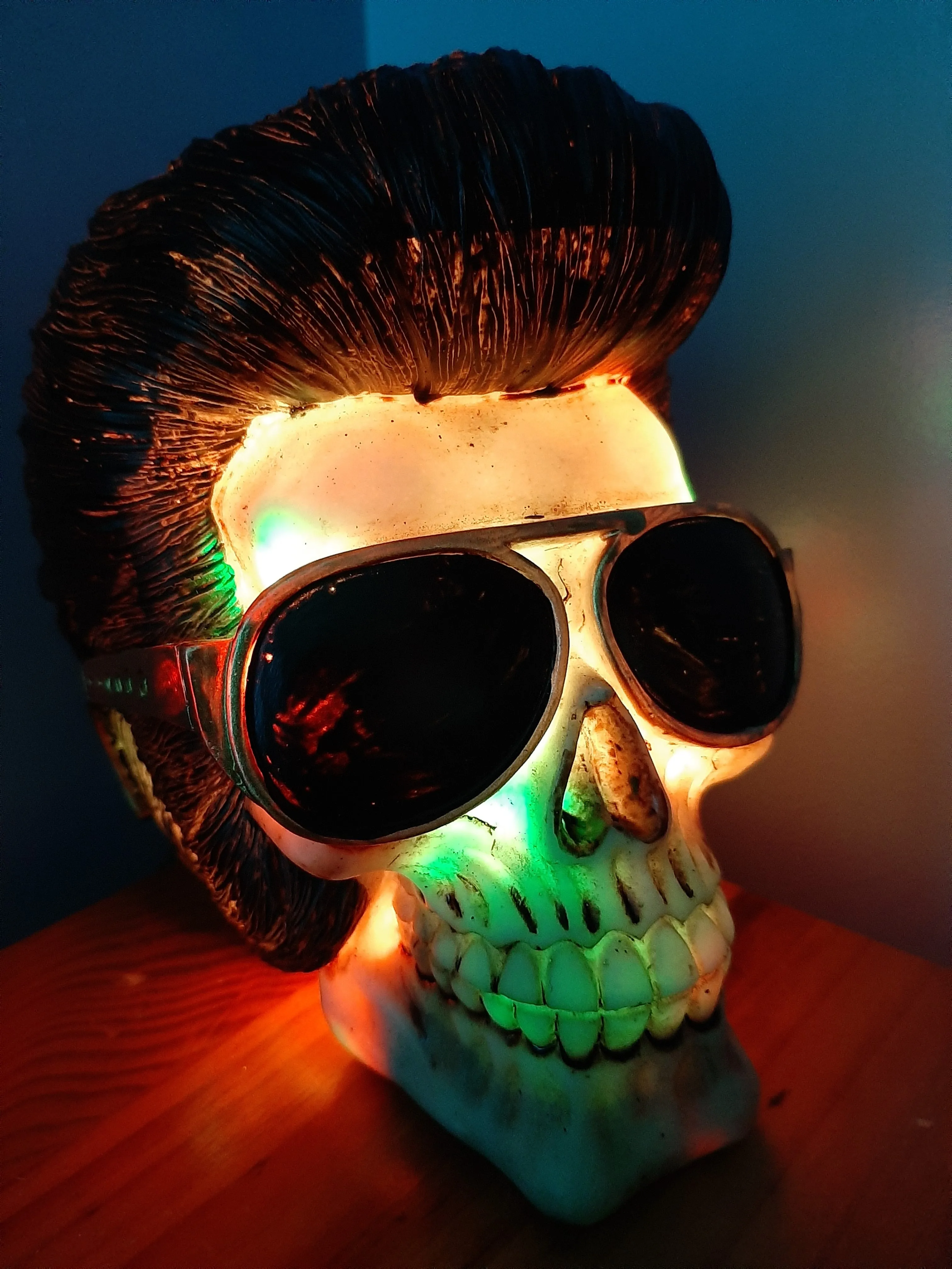 ELVIS IS IN THE BUILDING-lamp put together by me