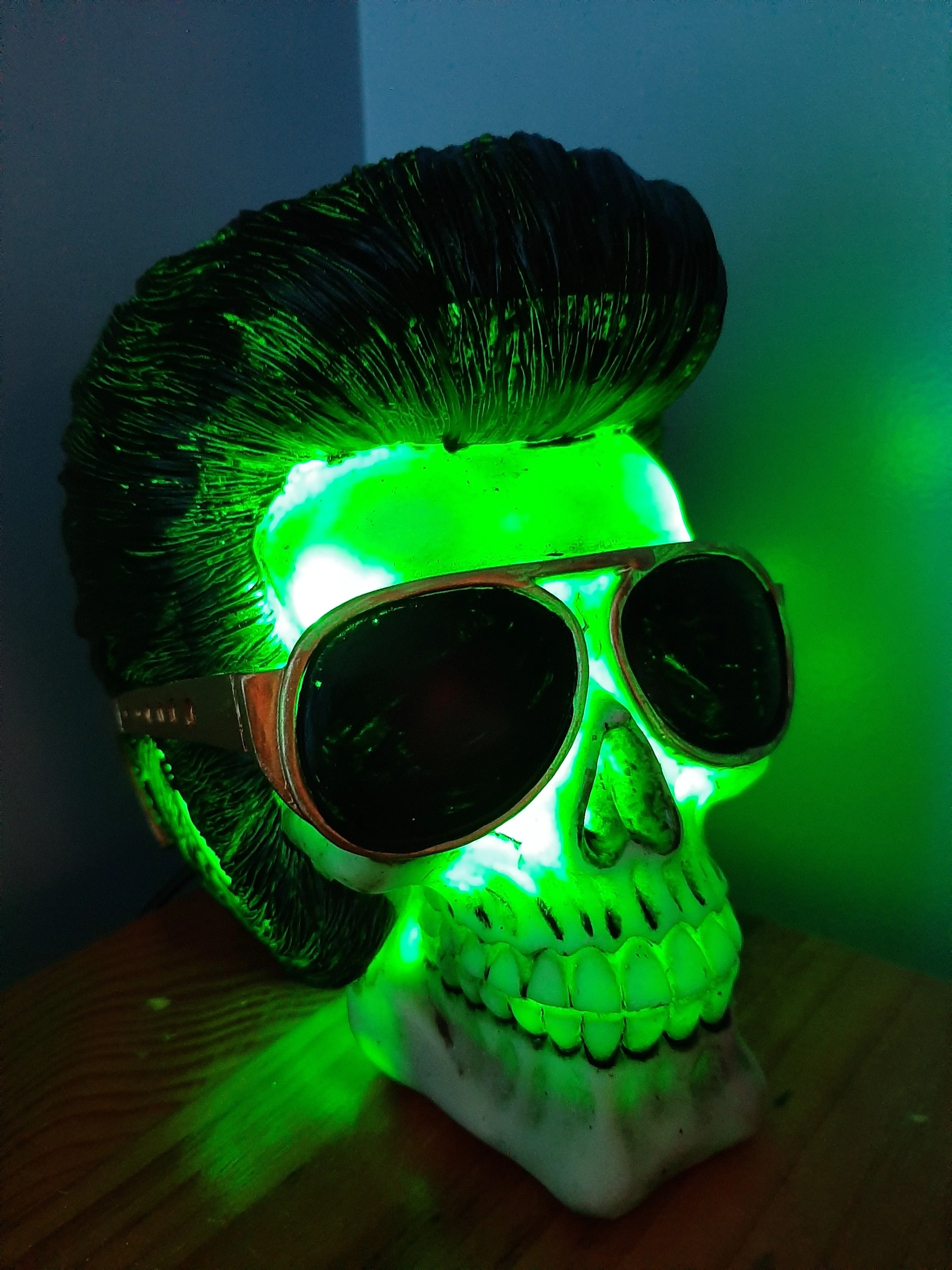 ELVIS IS IN THE BUILDING-lamp put together by me