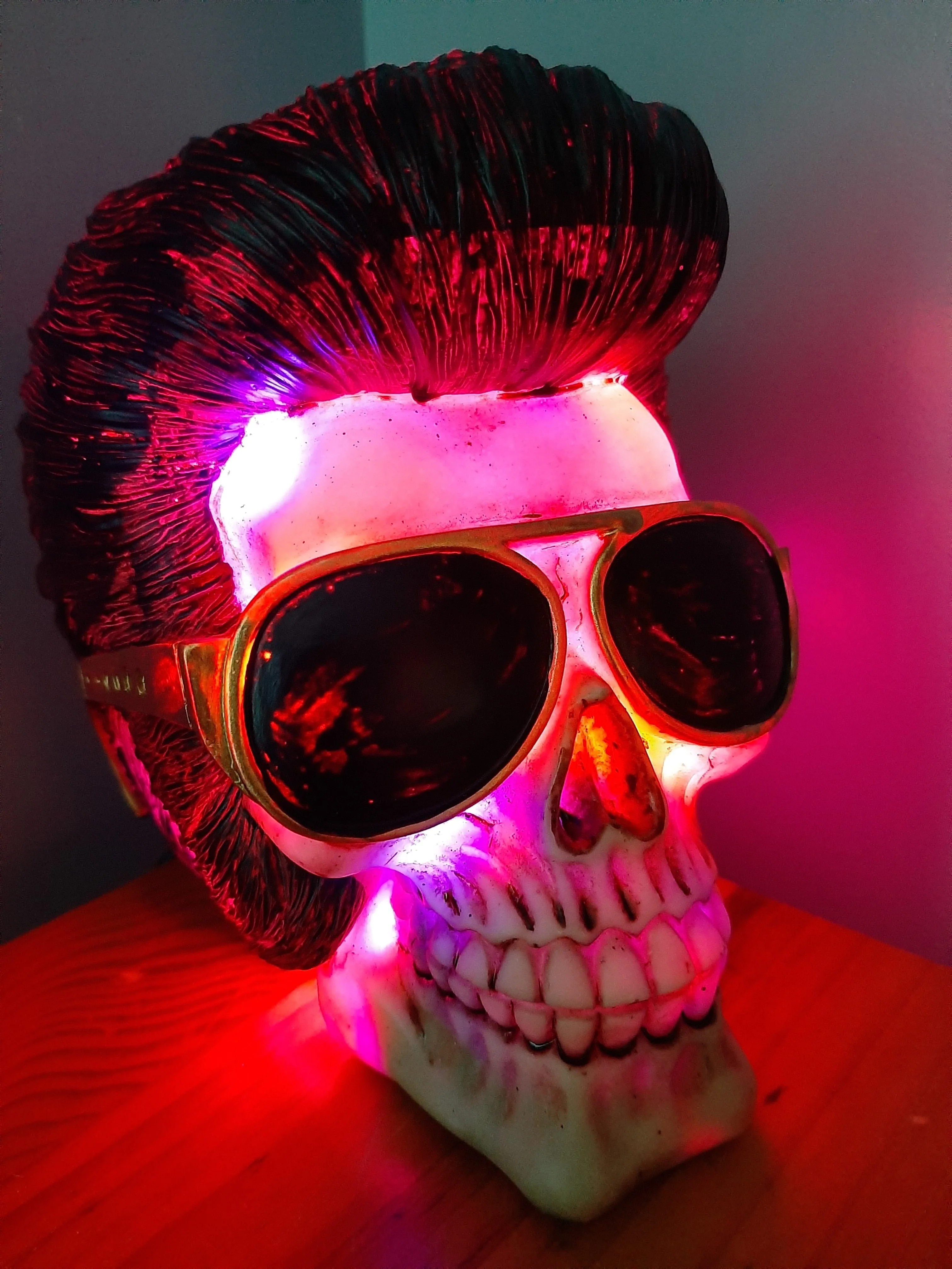 ELVIS IS IN THE BUILDING-lamp put together by me
