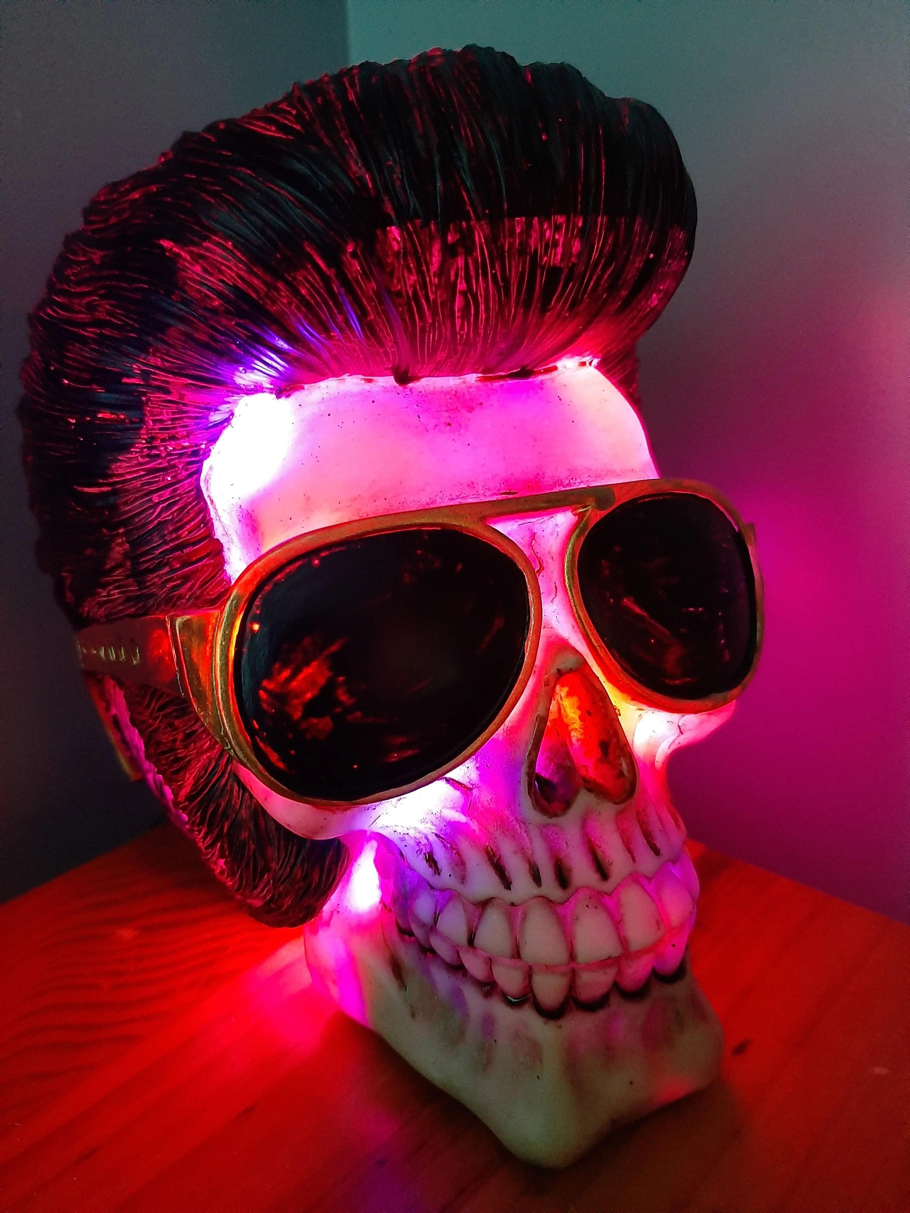 ELVIS IS IN THE BUILDING-lamp put together by me