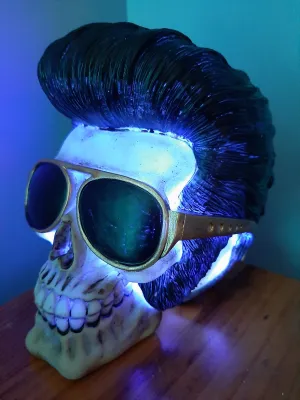 ELVIS IS IN THE BUILDING-lamp put together by me