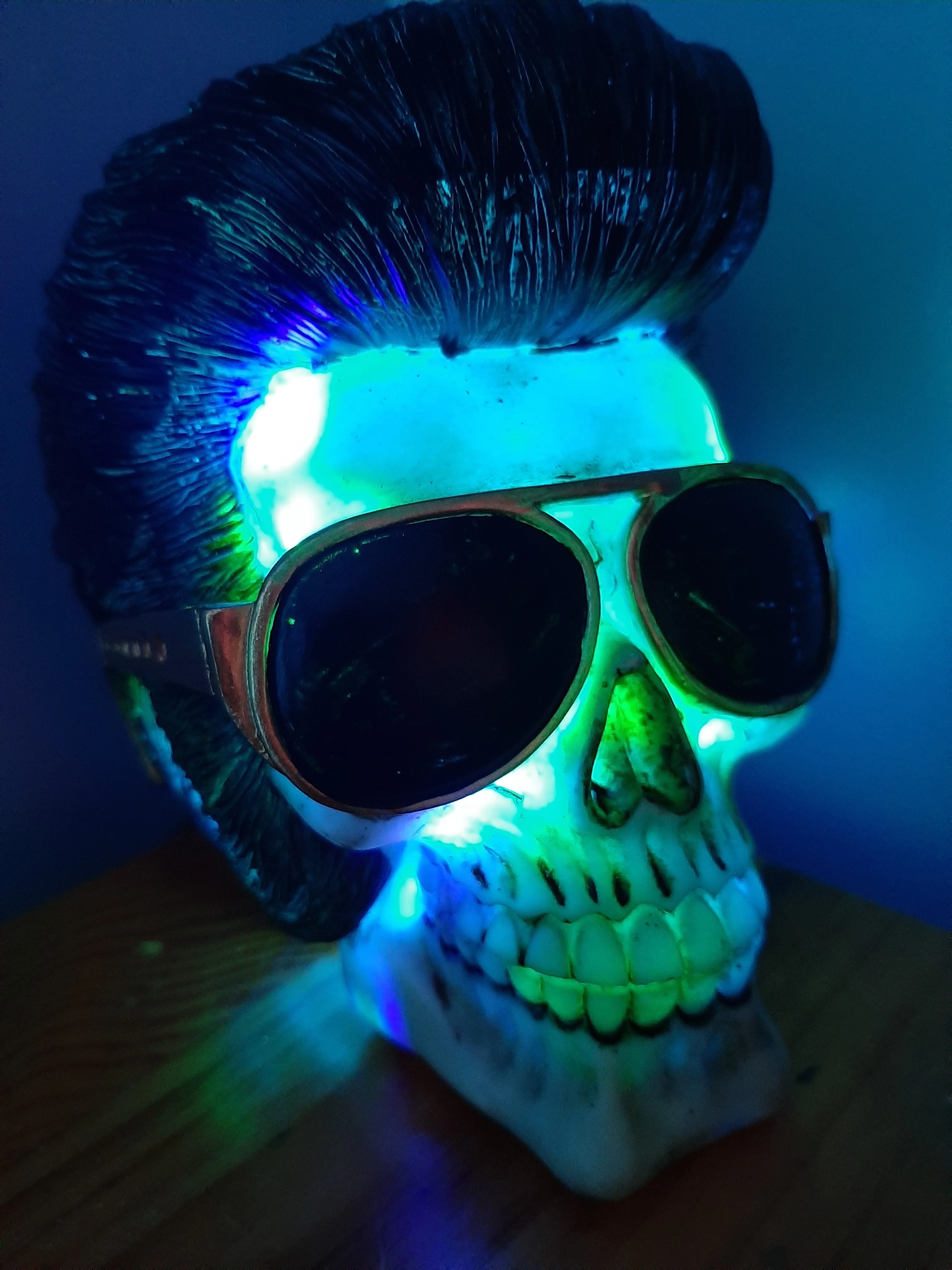 ELVIS IS IN THE BUILDING-lamp put together by me