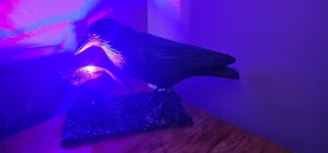 HANDMADE BLACK CROW LAMP