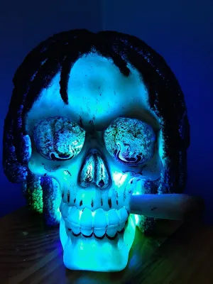 MARLEY RASTA  MAN COLOUR CHANGING LAMP-unique put together by me