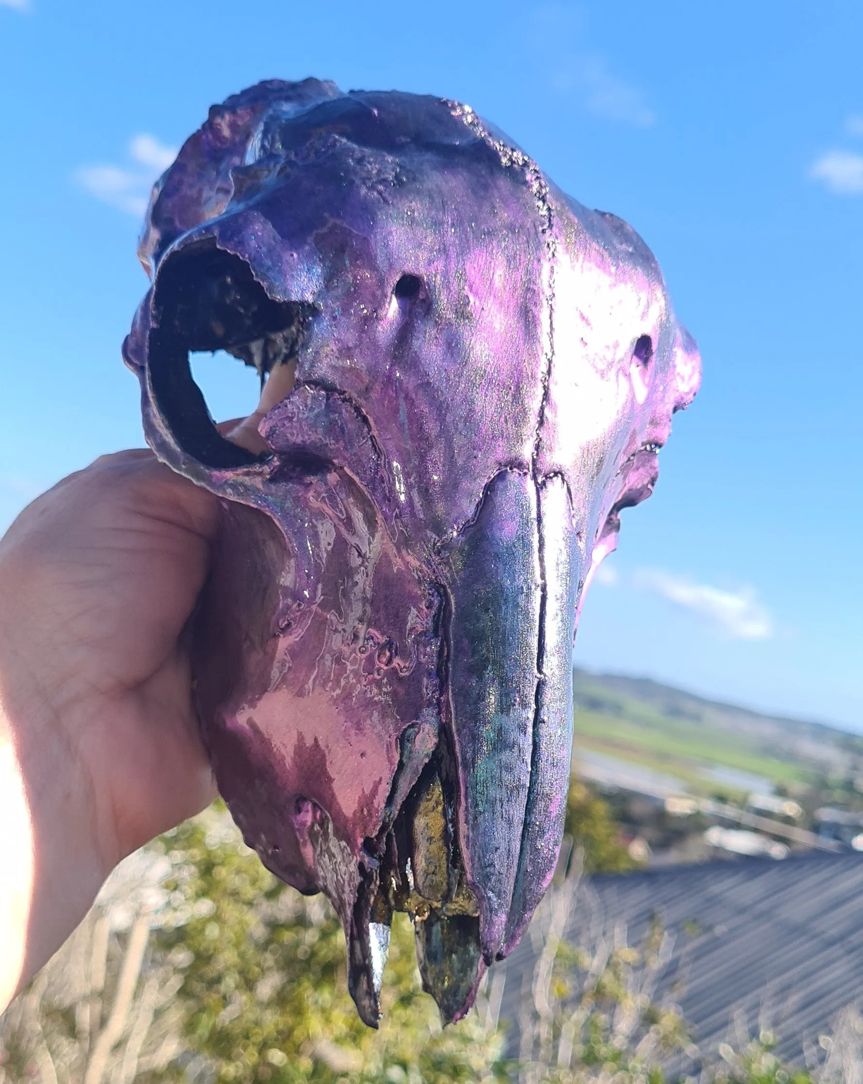 PAINTED SHEEP SKULL