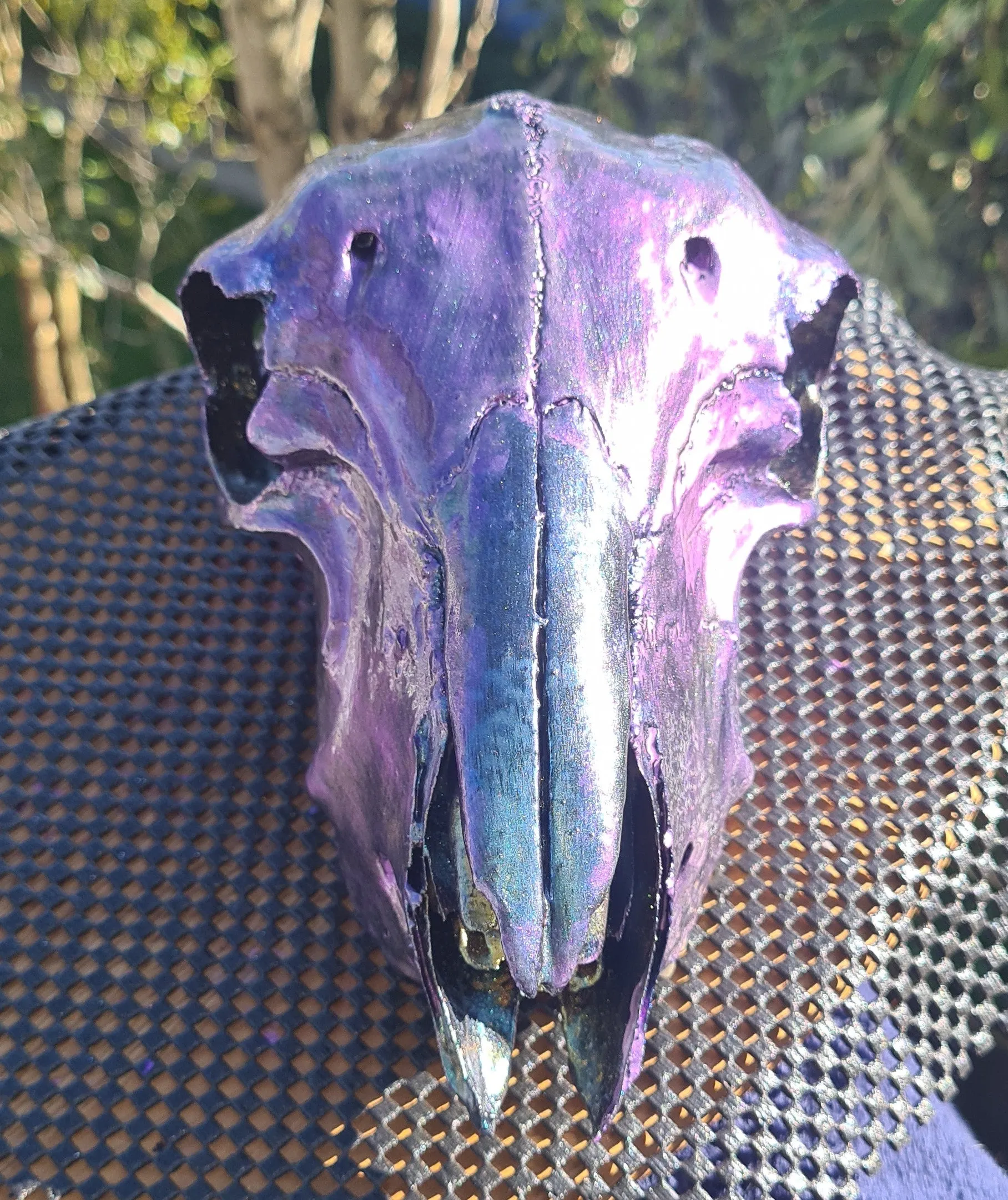PAINTED SHEEP SKULL