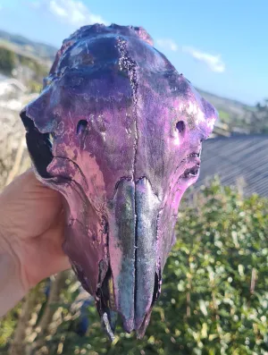 PAINTED SHEEP SKULL