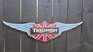 TRIUMPH WINGS METAL WALL ART