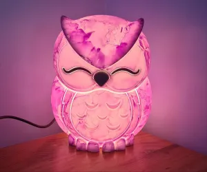 UNIQUE PAINTED OWL LAMP